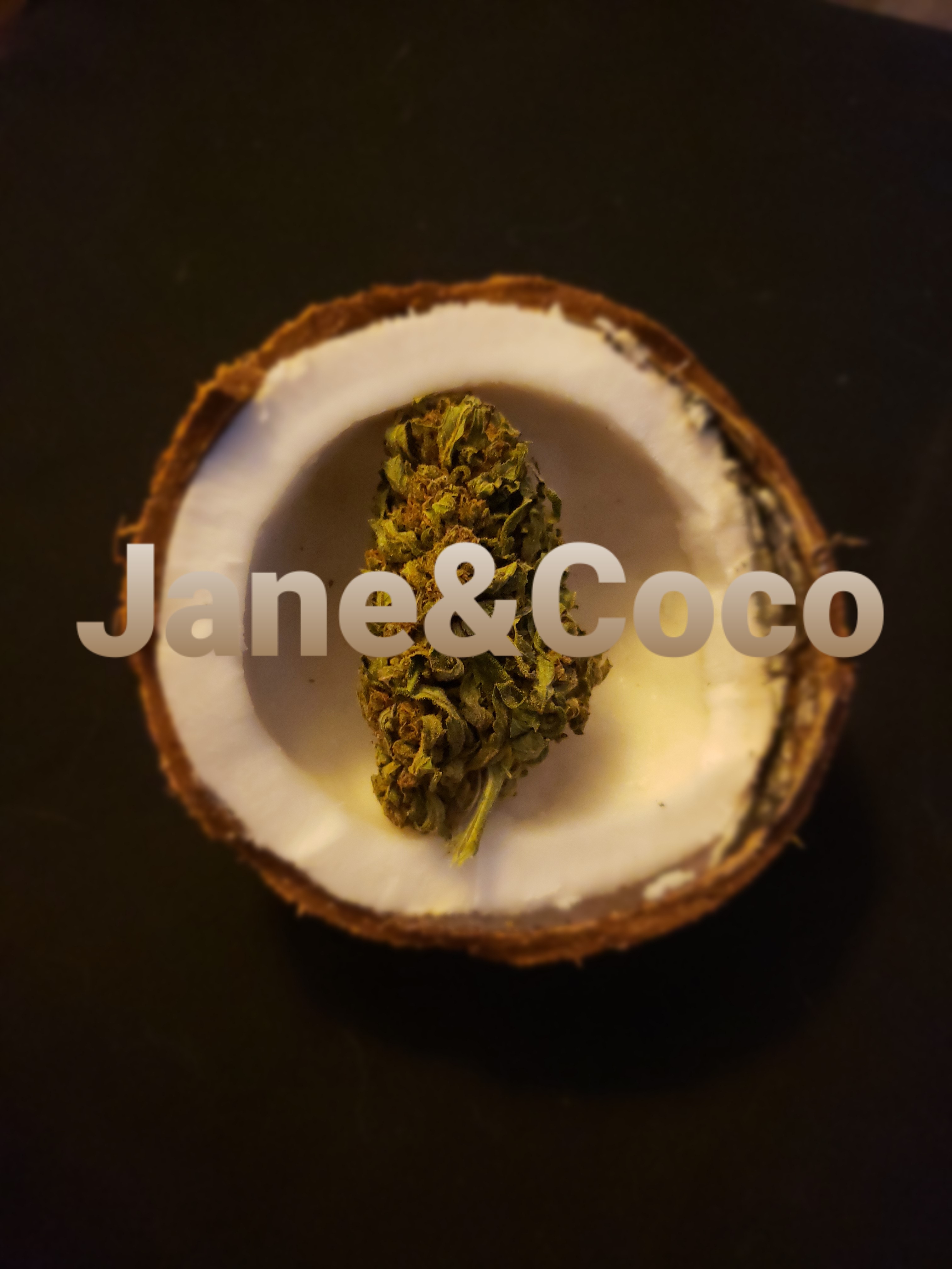 Jane&Coco